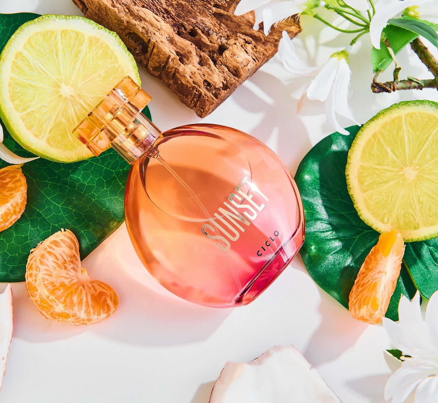 O poder das notas cítricas: fragrâncias energizantes e cheias de estilo!
